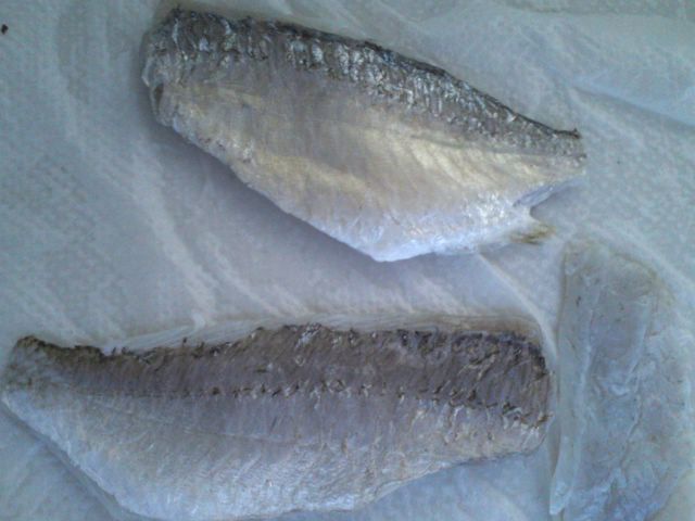 釣った小魚で握り寿司 空飛ぶだんご伝説